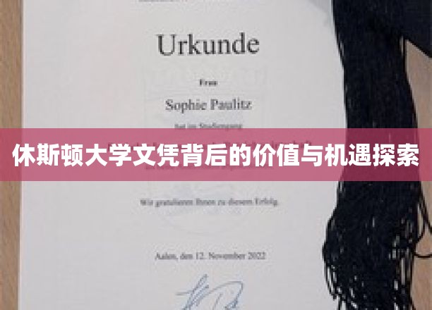休斯顿大学文凭背后的价值与机遇探索