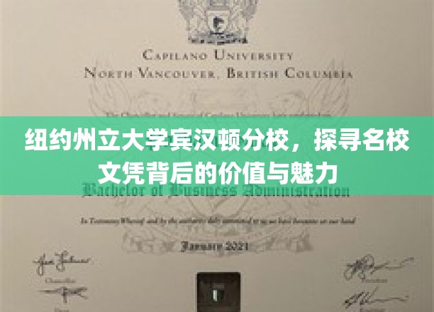 解码纽约州立大学宾汉顿分校，名校光环下的教育精髓与人生机遇