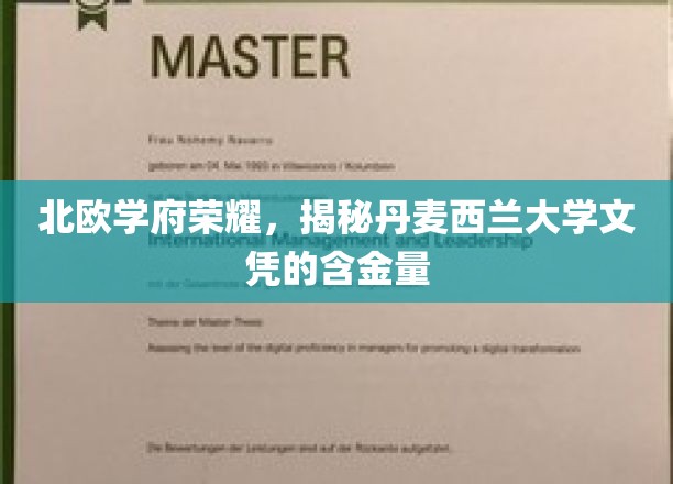 丹麦西兰大学文凭闪耀北欧，揭秘其国际认可度与就业价值