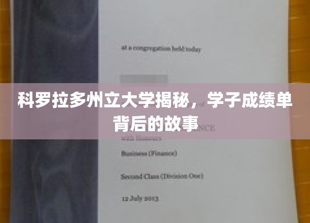科罗拉多学子成绩单，揭开大学背后的成长轨迹
