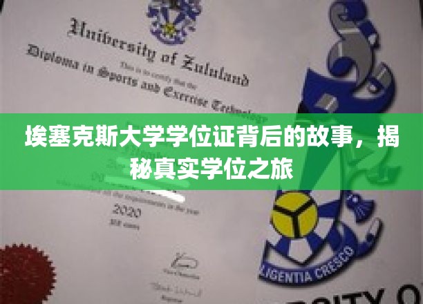 探寻埃塞克斯大学学位证的神秘面纱，一段真实的学术旅程揭秘
