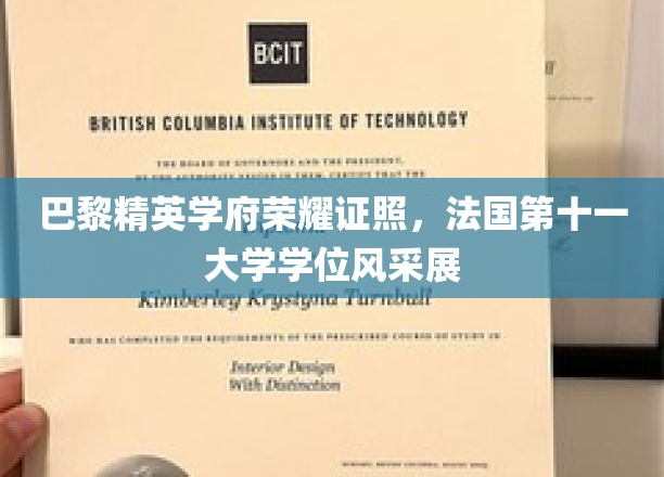 法国第十一大学荣耀，巴黎精英学府的卓越学位风采大揭秘
