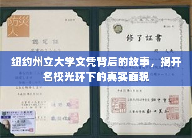 纽约州立大学文凭背后的故事，揭示名校光环下的真实面貌