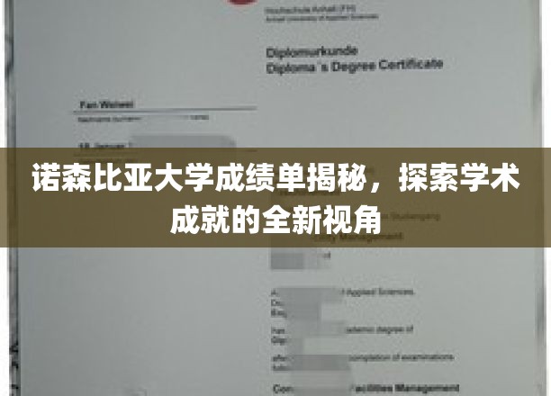 揭秘诺森比亚大学成绩单背后的学术奥秘