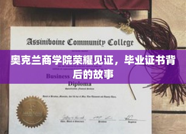 奥克兰商学院荣耀瞬间，毕业证书背后的传奇历程