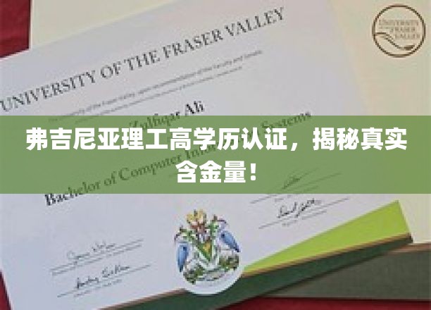 弗吉尼亚理工高学历认证，揭秘其真实含金量！
