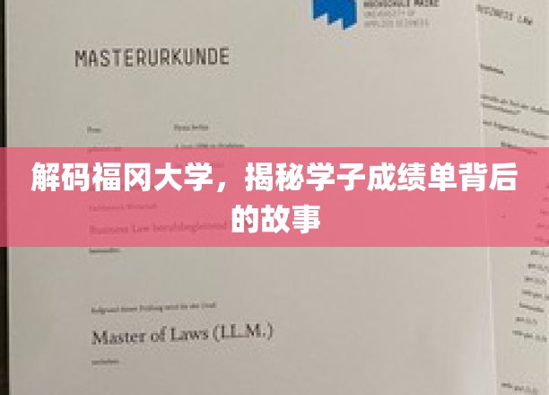 解码福冈大学，揭秘学子成绩单背后的故事