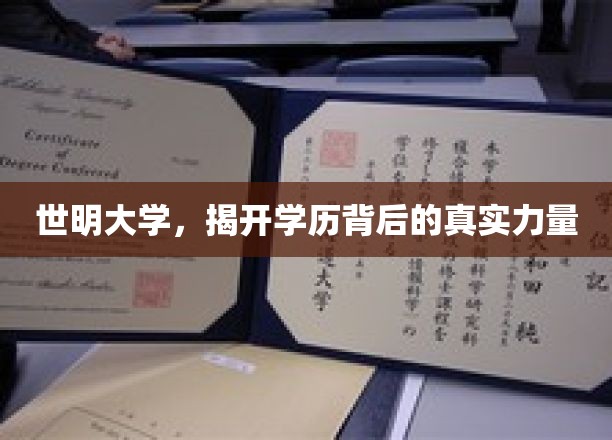 世明大学，揭开学历背后的真实力量