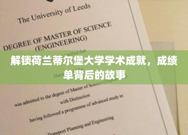 探寻蒂尔堡大学辉煌成就，揭秘学术精英背后的传奇经历