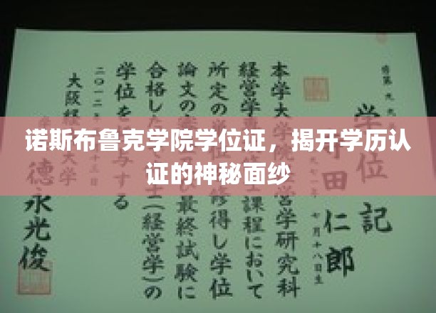 诺斯布鲁克学院学位证大揭秘，学历认证背后的真相