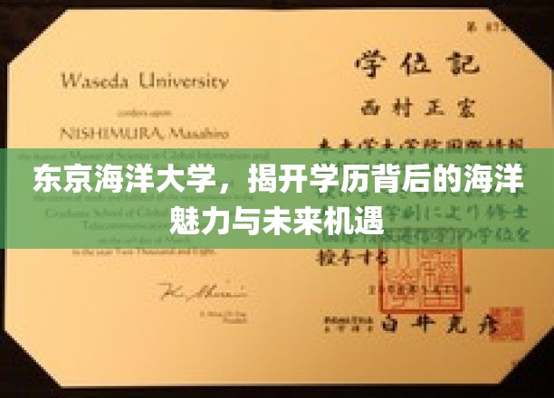 探秘东京海洋大学，解码海洋教育新篇章与无限就业前景