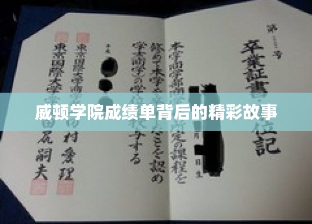 揭开威顿学院成绩单背后的传奇篇章