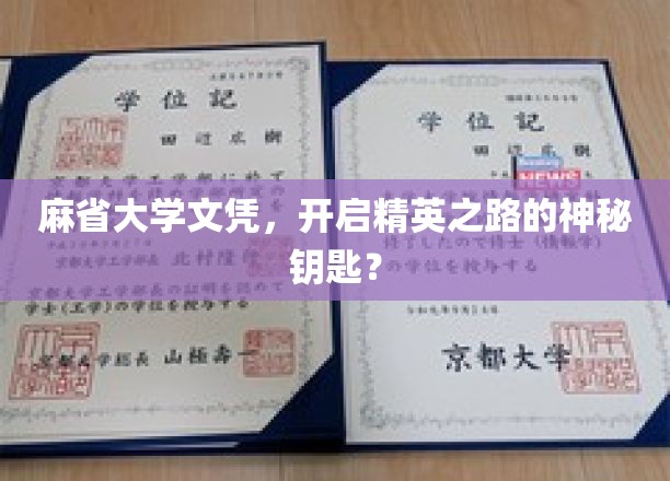 解锁精英未来，麻省大学文凭，开启非凡人生之旅