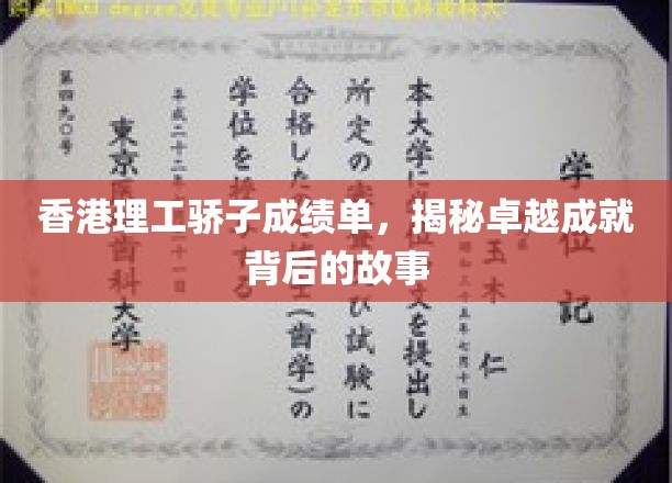 香港理工精英档案，解码卓越成就的青春足迹
