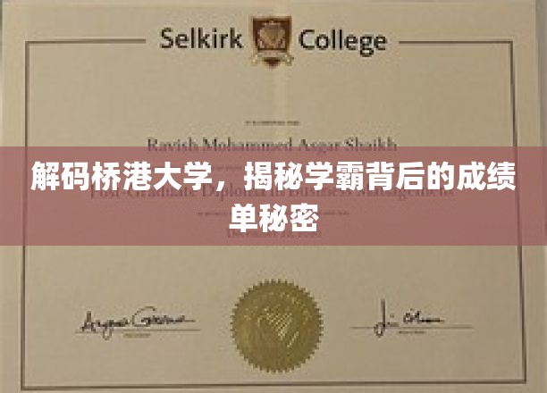解码桥港大学，揭秘学霸背后的成绩单奥秘