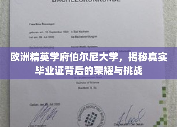 欧洲精英学府伯尔尼大学，揭秘真实毕业证背后的荣耀与挑战