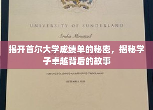 揭秘首尔大学成绩单，探寻学子卓越背后的故事
