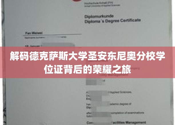 探寻德克萨斯大学圣安东尼奥分校学位证书背后的辉煌历程