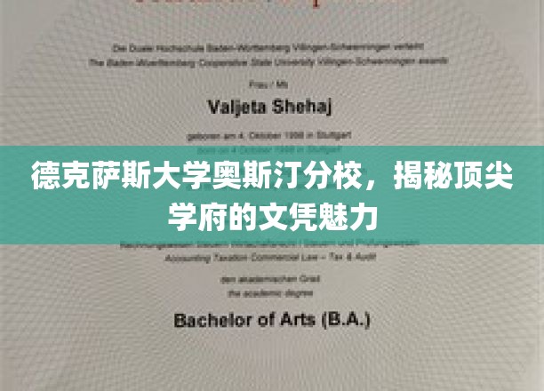 解码德克萨斯大学奥斯汀分校，文凭背后的顶级学府魅力