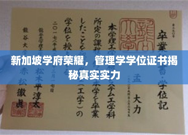 新加坡高等学府荣耀，管理学学位证书展现真实实力