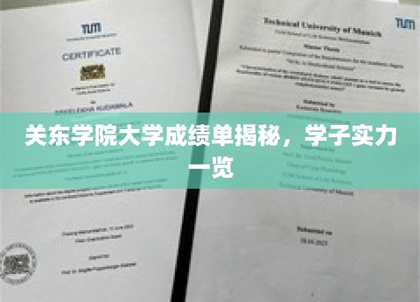 关东学院大学成绩单揭秘，学子实力一览