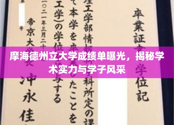 摩海德州立大学成绩单揭晓，揭秘学术实力与学子风采