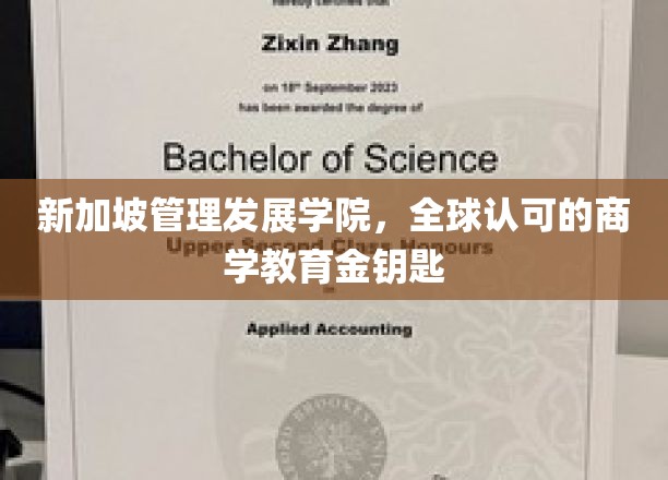 解码商业智慧，新加坡管理发展学院引领全球商学教育新篇章