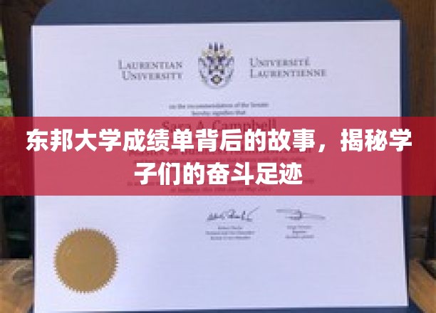 东邦大学成绩单背后，学子奋斗足迹的温暖呈现