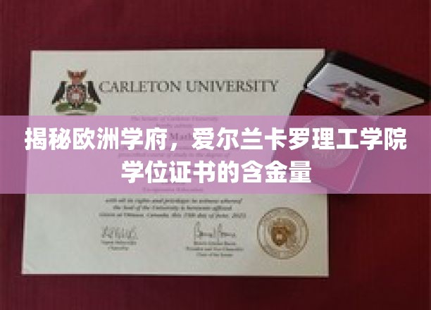 揭秘欧洲学府，爱尔兰卡罗理工学院学位证书的含金量