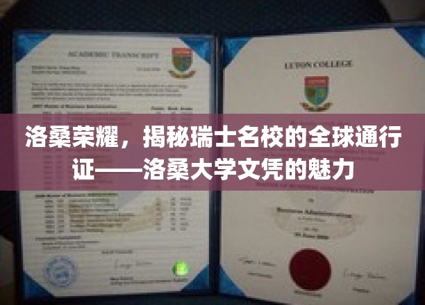 瑞士精英教育名片，洛桑大学文凭，国际职场通行证的秘密力量