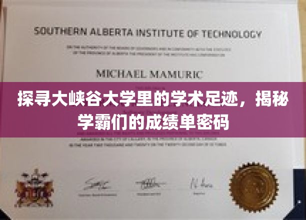 揭开大峡谷学府学霸成绩单背后的奥秘，学术精英的智慧轨迹探秘