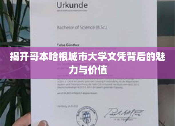 解码哥本哈根城市大学，文凭背后的全球视野与职业机遇