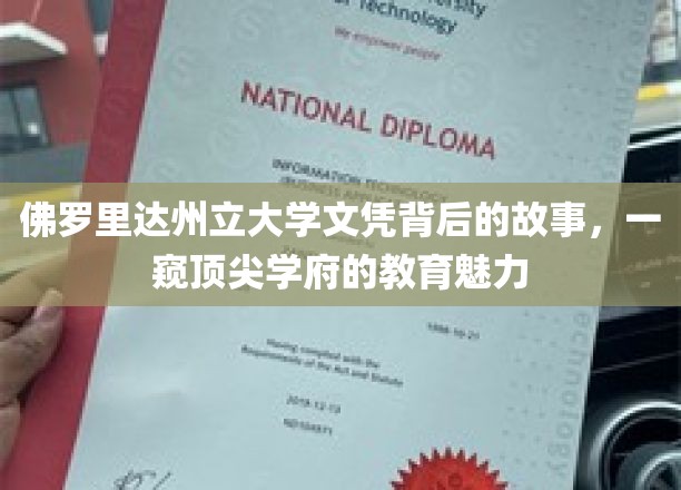佛罗里达州立大学文凭背后的故事，一窥顶尖学府的教育魅力