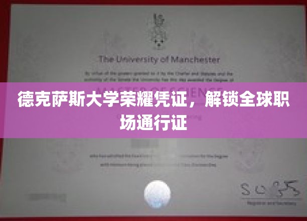 德克萨斯大学荣耀凭证，解锁全球职场通行证