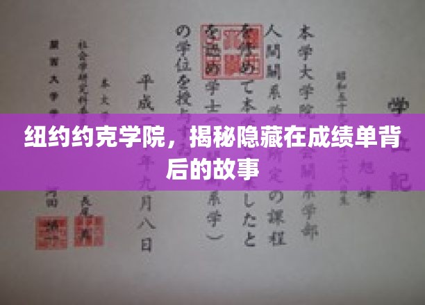 纽约约克学院，揭秘隐藏在成绩单背后的故事