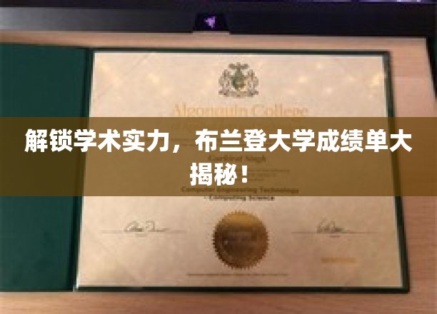 布兰登大学实力展现，揭秘学生成绩单背后的学术奥秘