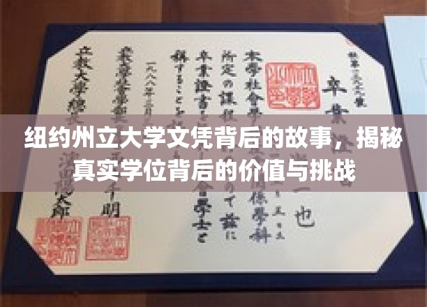 纽约州立大学文凭背后的故事，揭秘真实学位背后的价值与挑战