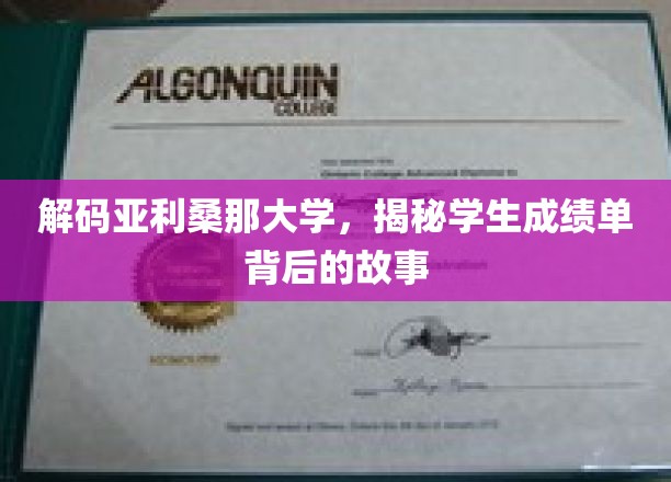 亚利桑那大学揭秘，成绩单背后的不为人知秘密