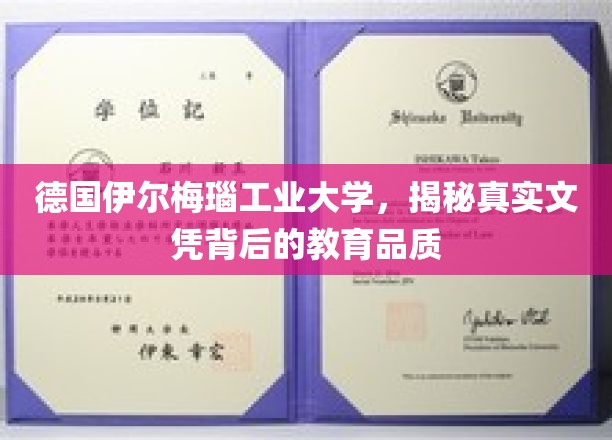 德国伊尔梅瑙工业大学，探究文凭背后的卓越教育内涵