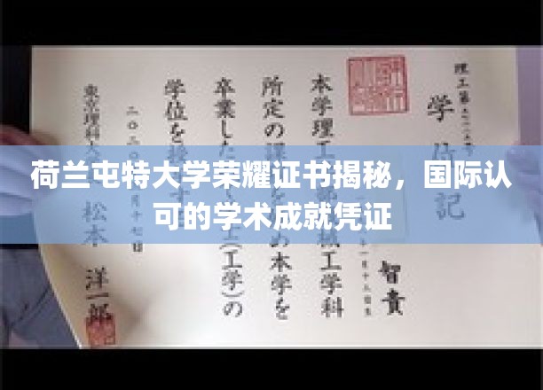 荷兰屯特大学荣耀证书，全球认可的教育成就标志