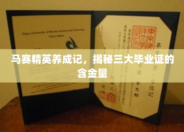 马赛英才之路，探寻三大毕业证书的非凡价值