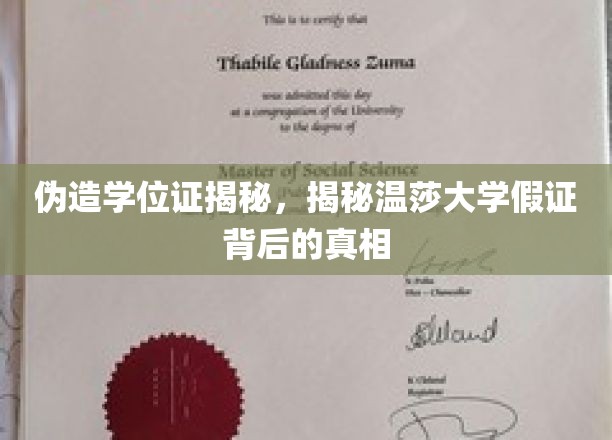 揭露学历证书骗局，温莎大学假证事件全解析
