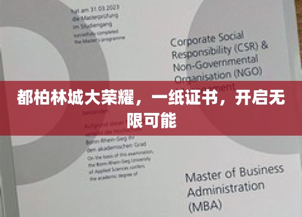 都柏林荣耀见证，证书开启梦想之门