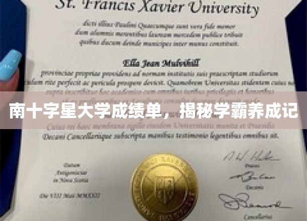 南十字星大学成绩单，揭秘学霸养成之路