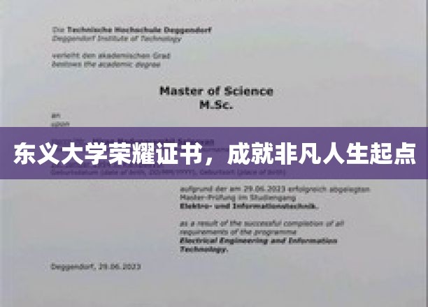 开启非凡人生，东义大学荣耀证书见证辉煌起点