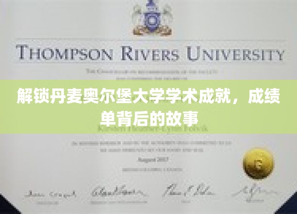 探索丹麦奥尔堡大学的学术成就，成绩单背后的故事