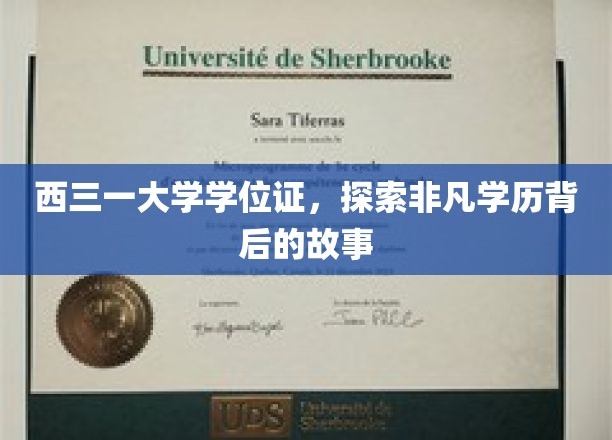 解码西三一，非凡学位证的传奇溯源