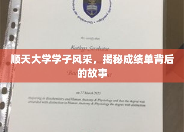 顺天大学学子风采，揭秘成绩单背后的故事