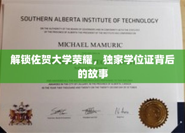 佐贺大学传奇揭秘，探寻那枚独家学位证的奥秘之旅