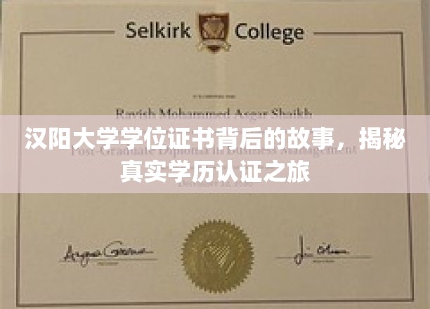 揭开汉阳大学学位证书面纱，探寻学历认证的奥秘之旅
